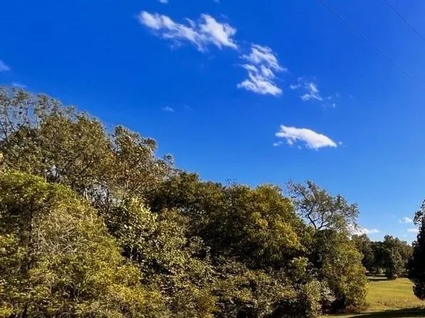 TRACT 2 James Mitchell Rd, Elkton, KY 42220