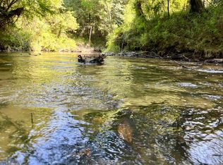 12 Highway 1062, Loranger, LA 70446