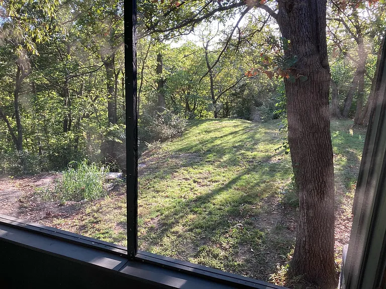 On your porch, you will see wild turkeys, deer, and ground hogs.