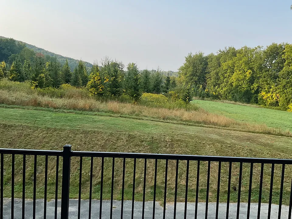 View from deck