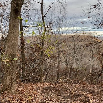 2nd image of Fairway Ln