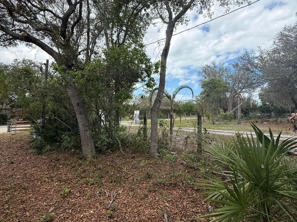 228 BROWNS HAMMOCK Road, Crescent City, FL 32112