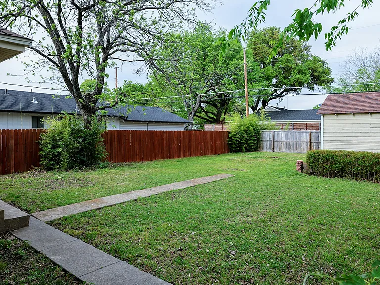 Back Yard