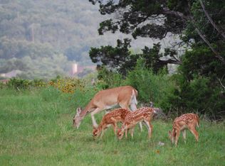 1319 Pasa Tiempo, Leander, TX 78641