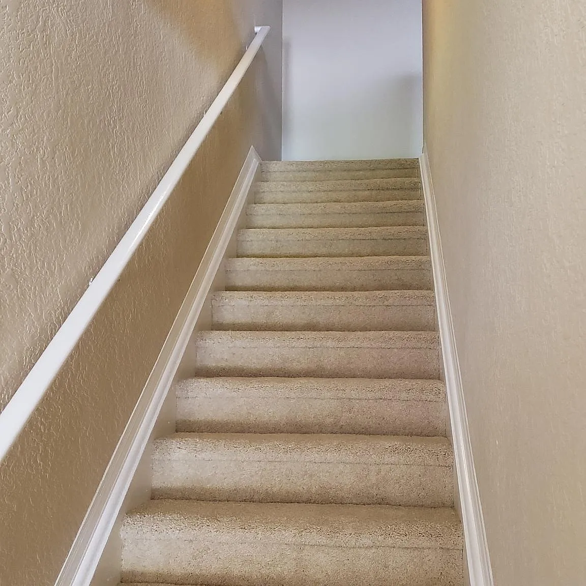 1 bed, 875 sqft, $1,625 — Photo 4