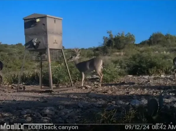0 W Dusty Rose Est Lot 2, Brackettville, TX 78832