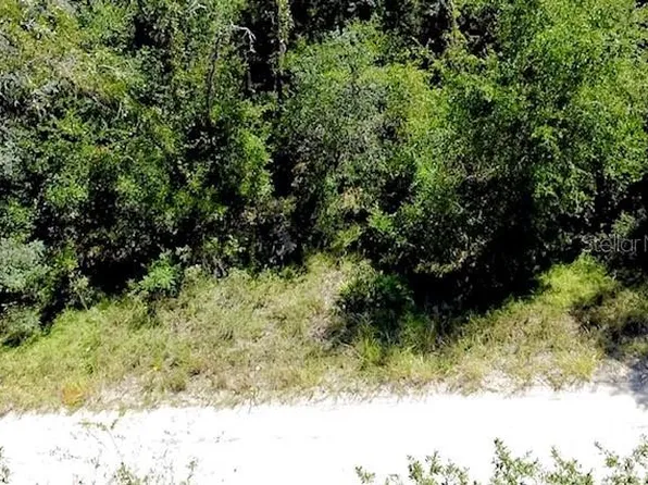 0 NE 138th Ter Lot 8, Williston, FL 32696