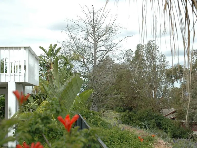 6374 E Paseo Celeste — Photo 102