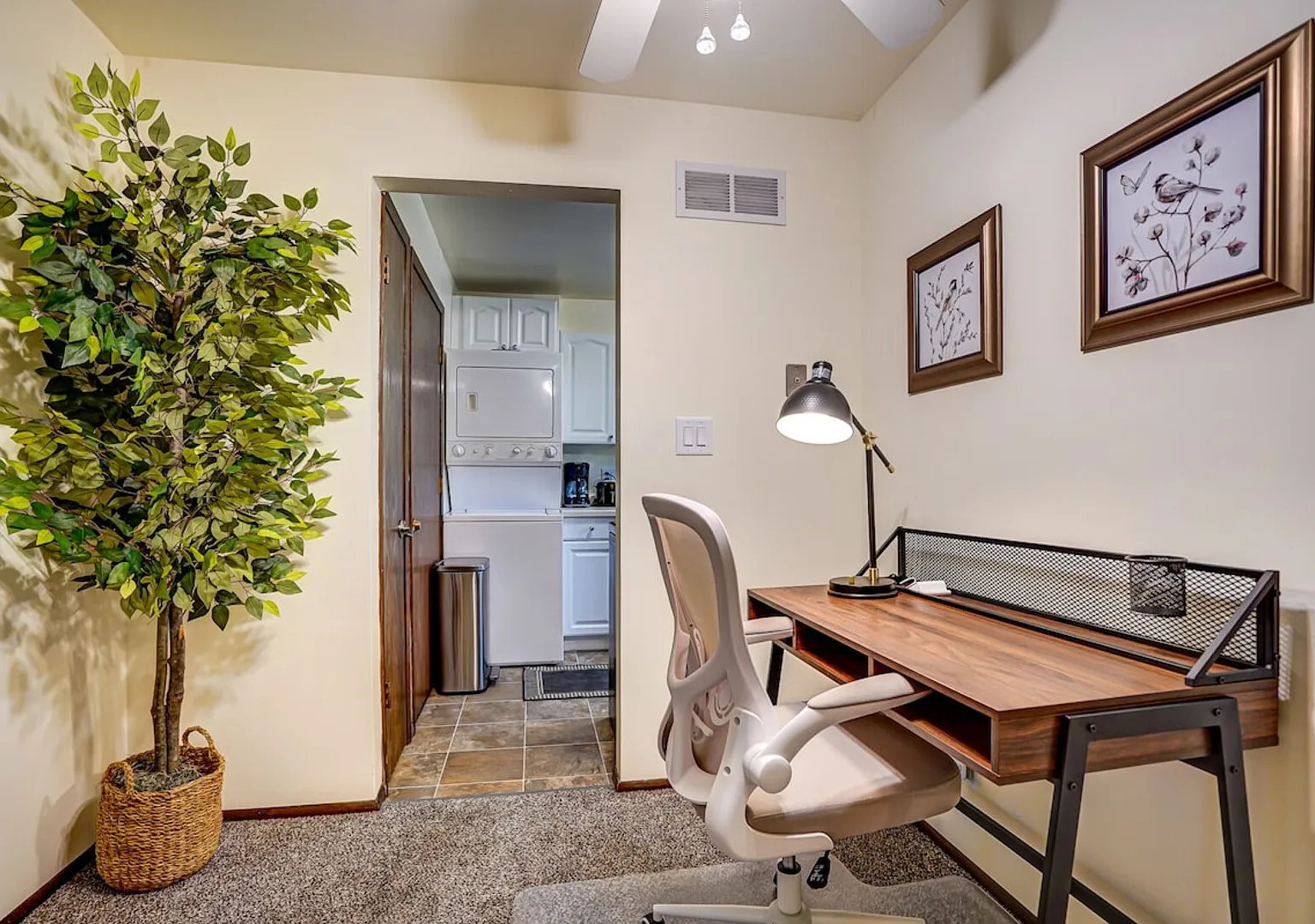 Washer & Dryer, Dishwasher, and AC! Pets welcome! Corner Apt — Photo 3