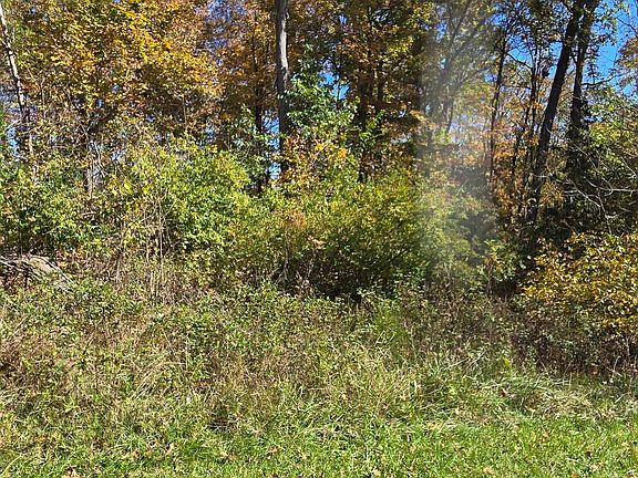4th image of 0 Williams Retreat Rd