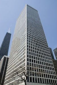 260 E Chestnut St APT 3706, Chicago, IL, 60611