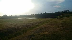 5th image of 0 State Highway 247 Byp