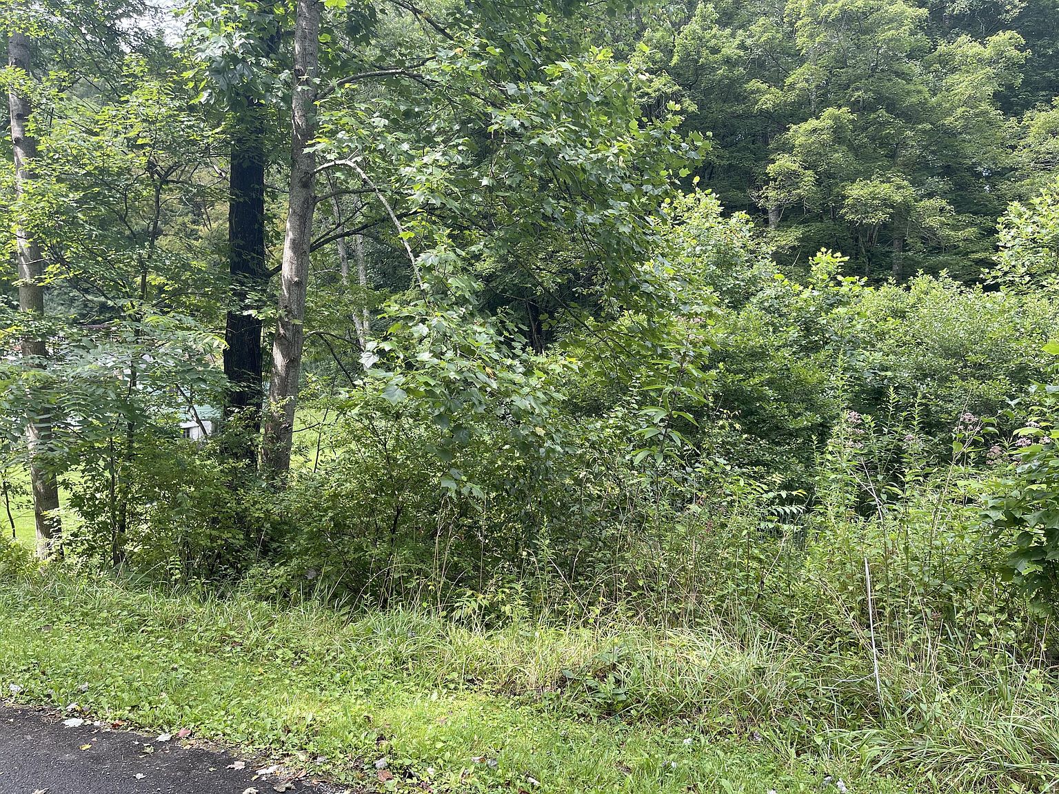 124 valley ave lester wv 25865 mls 22 1162 zillow