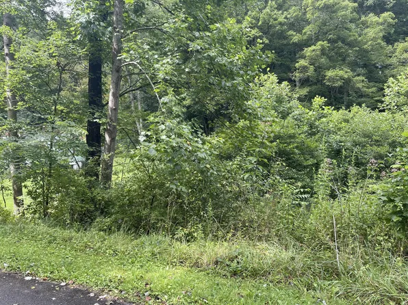 124 Valley Ave, Lester, WV 25865