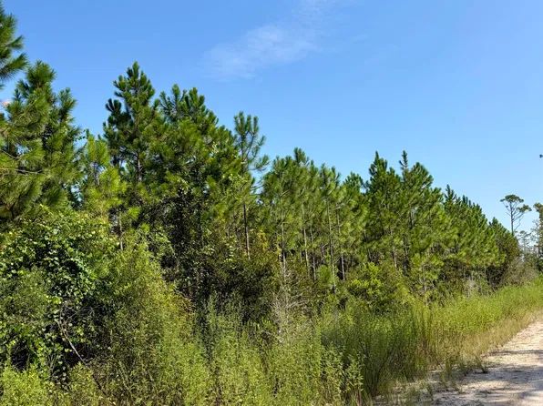 Vacant Circle Block Loop, Greenville, FL 32331