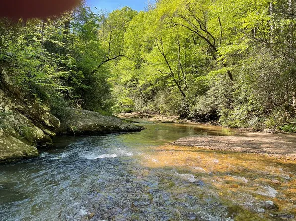 Brushy Fork Rd, Cana, VA 24317