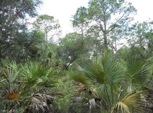 2310 Murray Rd, Fort Denaud, FL 33935