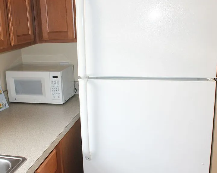14252 Confetti Dr — Photo 6