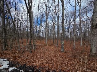 20 Fawn Run, Montague, NJ 07827