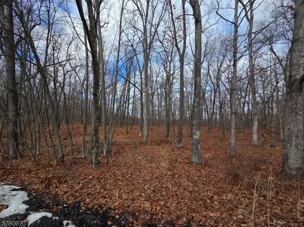 20 Fawn Run, Montague Twp., NJ 07827