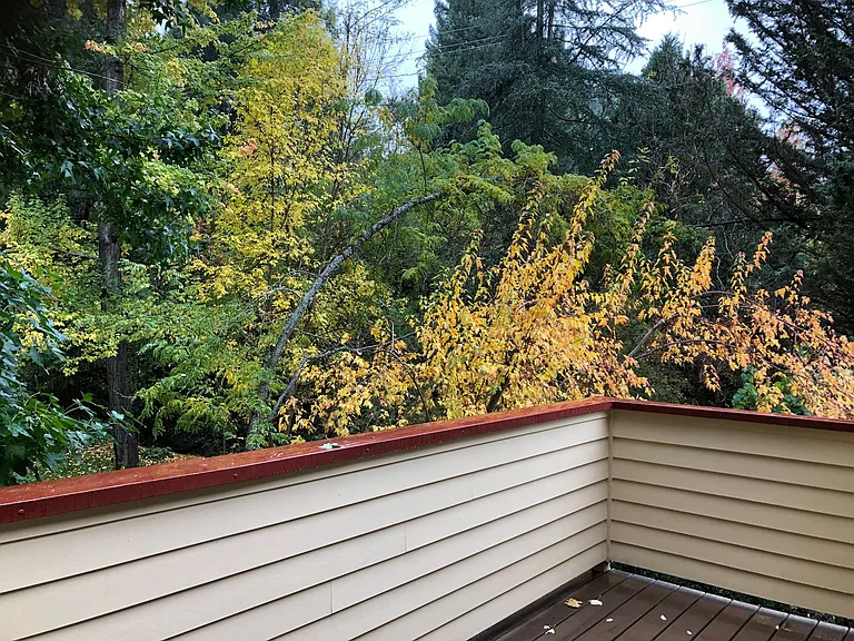 308 Bridge Way — Photo 9