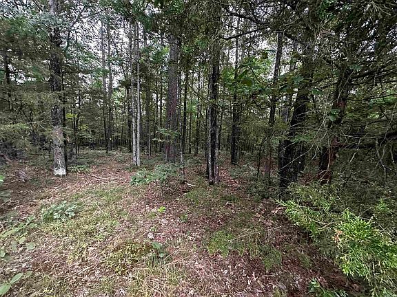 3rd image of LOT 43 Cobalt Bay Dr