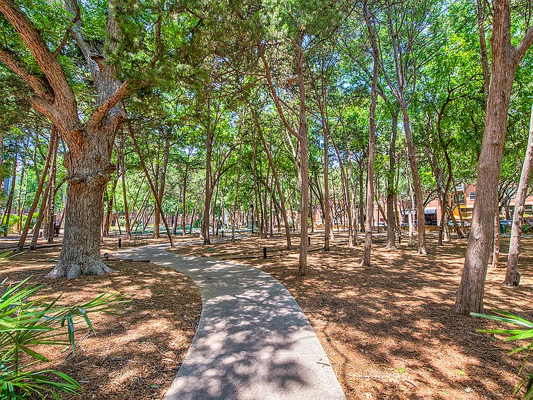 MAA Addison Circle — Photo 6