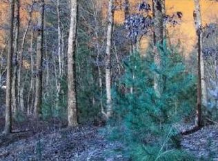 LOT 8 Hawks Ridge Dr, Mineral Bluff, GA 30559
