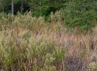 30 SW 26th Ave LOT 30, Ocala, FL 34475