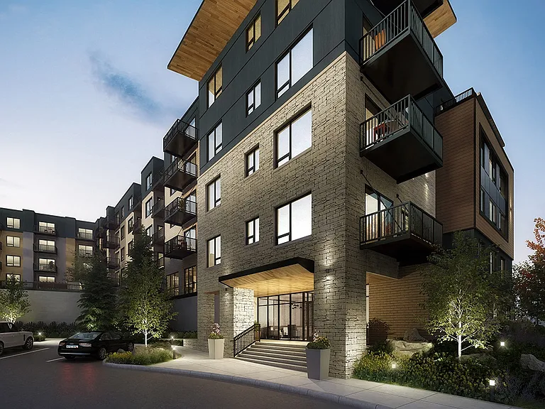 Birke — Photo 4