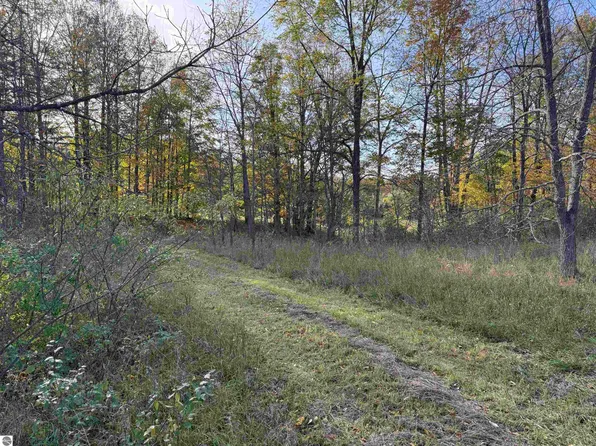PARCEL 3 S Tower Rd, Maple City, MI 49664