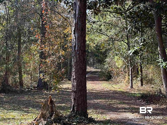 3rd image of LOT 41 Cook Rd