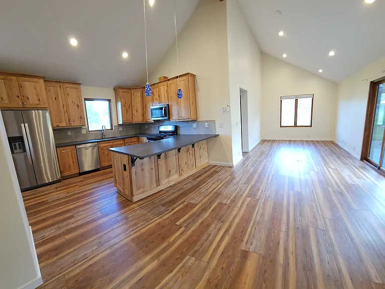 Living room area and kitchen