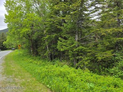 L5 Mud Bay Rd #19, Haines, AK, 99827