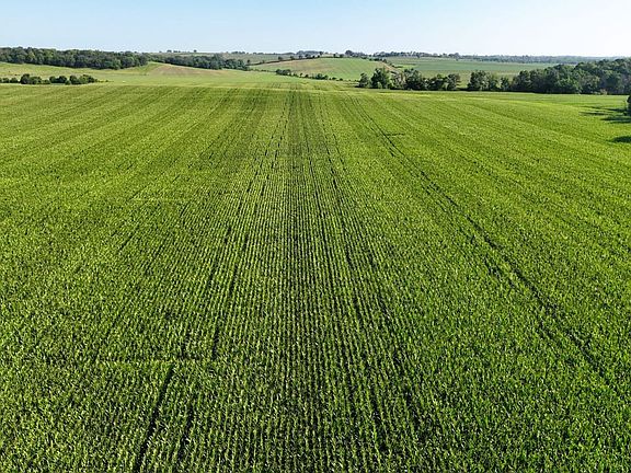18594-DJI_0511EDIT