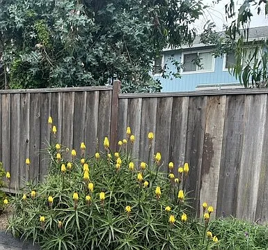 9 Marea Ave — Photo 16