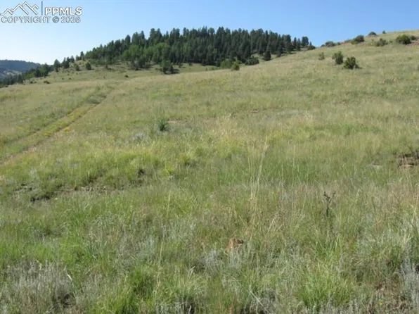1-2 Shideler, Cripple Creek, CO 80813