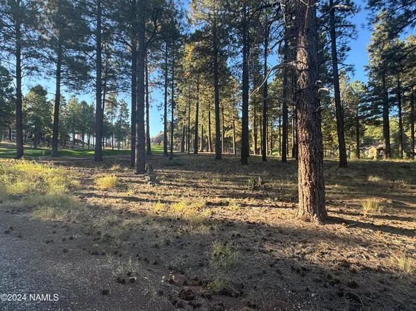 4105 W Tack Room, Flagstaff, AZ 86005