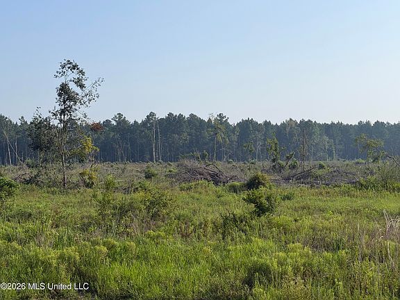 2nd image of 80 Acres