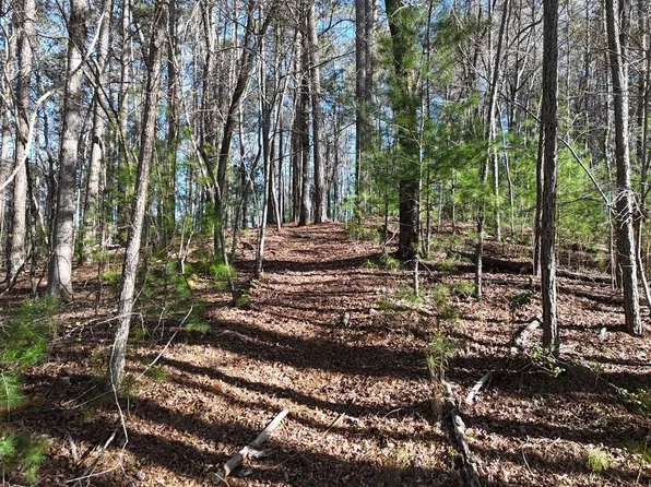 LOT-1158R Nectar Ln, Ellijay, GA 30540