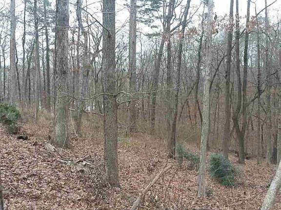 2nd image of LOT-323A Oyster Bay Overlook #320-325