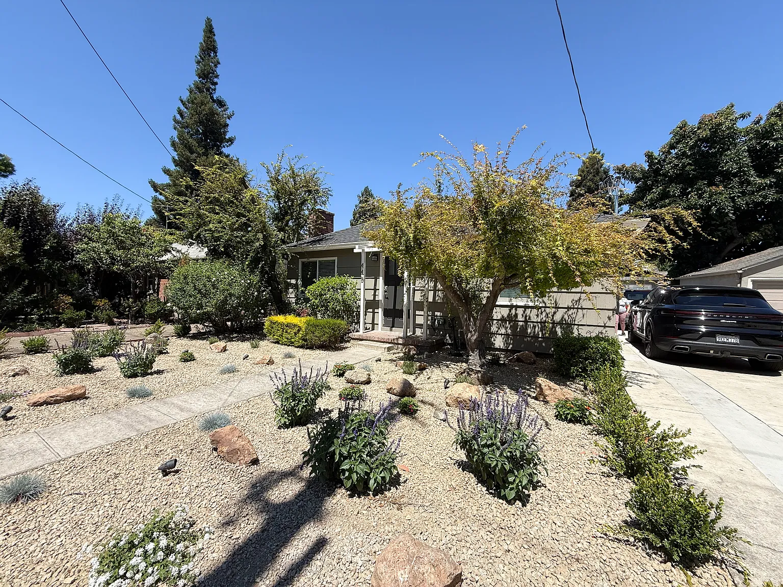 2 bed, 780 sqft, $4,000 — Photo 2
