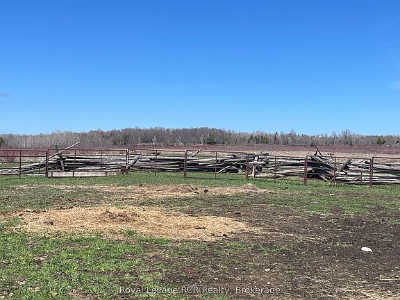5th image of 250 Scotch Line Rd
