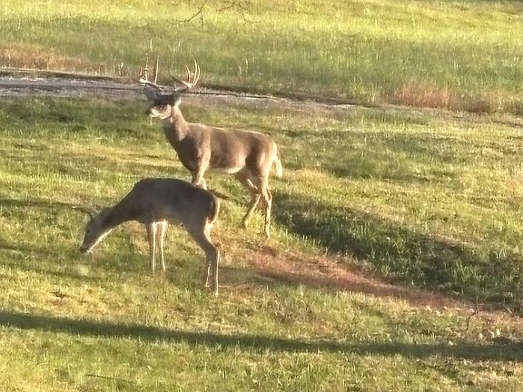 3rd image of 5946 SE Tater Peeler Rd