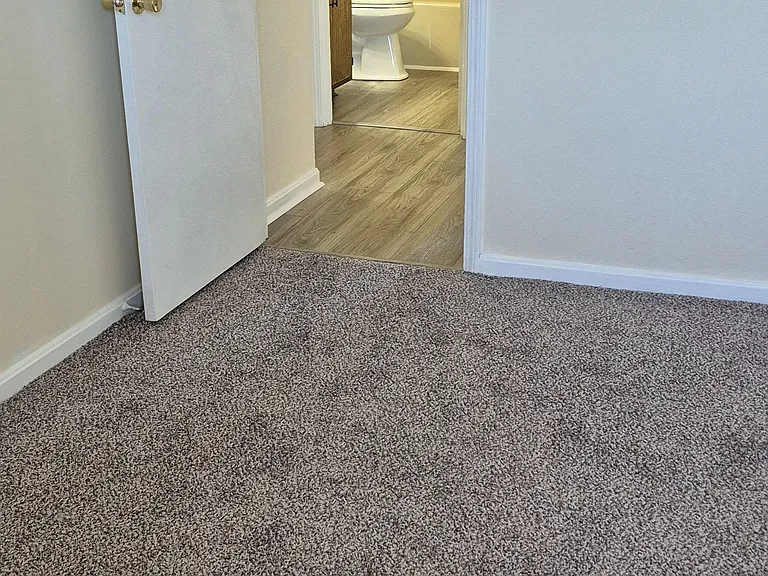 251 Shelby Ave — Photo 5