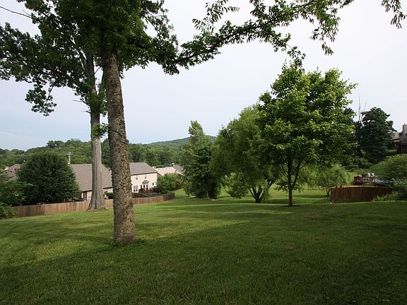 Back yard - backs to common area