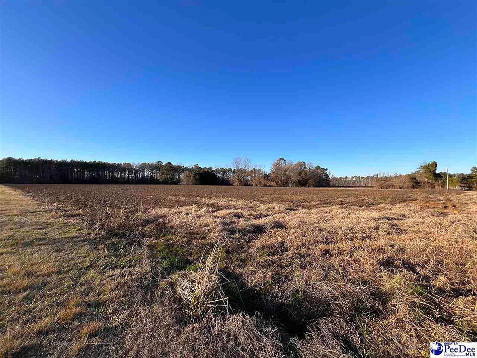 Lawrimore Rd, Hemingway, SC 29554 MLS 20240428 Zillow