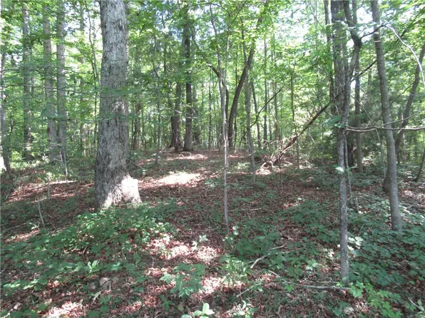 205 Gauley Falls Rd, Pickens, SC 29671