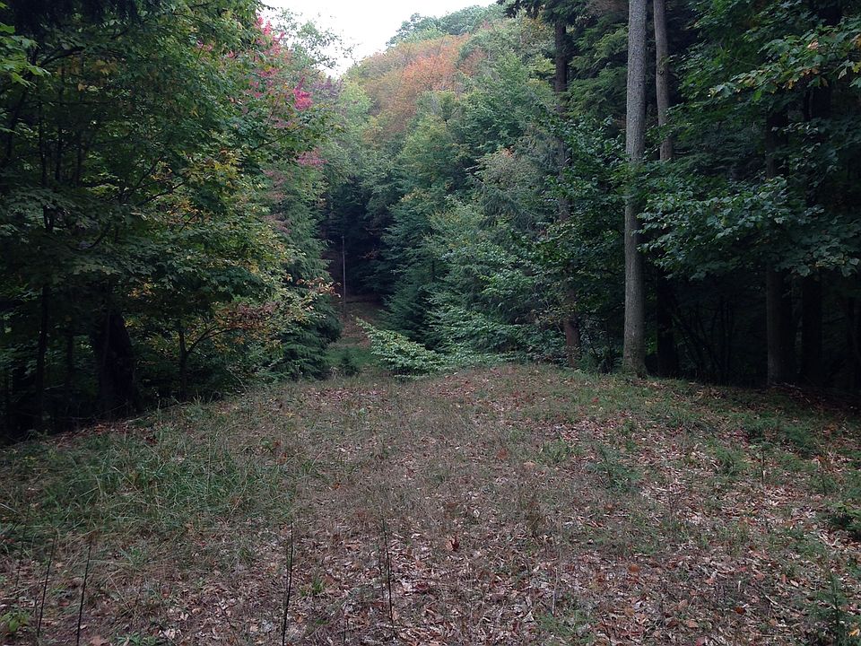 1st image of Dunewood