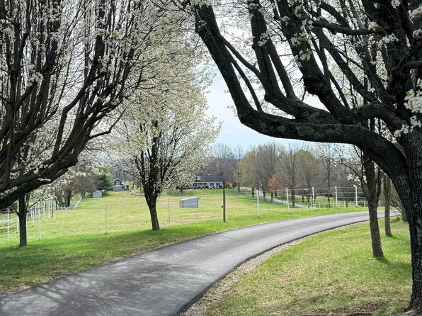 4417 Spring Hill Rd, Mount Solon, VA 22843